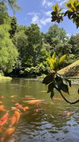 Parque Terra Nostra, São Miguel Island, Povoação, Azores, Portugal