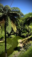 Parque Terra Nostra, São Miguel Island, Povoação, Azores, Portugal