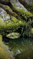 Parque Terra Nostra, São Miguel, Povoação, Azores, Portugal