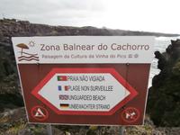 Pico Cachorro 