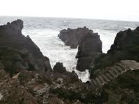 Pico Cachorro 