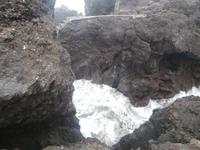 Pico Cachorro 