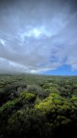 Pico, Madalena, Azores, Portugal