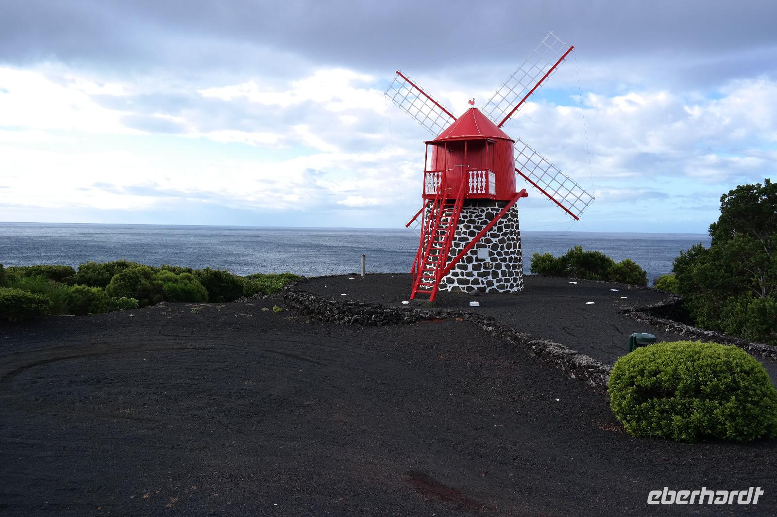 Pico
