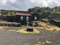 Pico