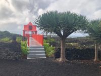 Pico