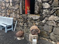 Pico