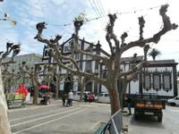 Ponta Delgada