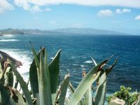 Ribeira Grande