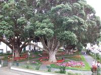 Ribeira Grande