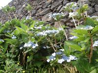 Sao Miguel Azoren