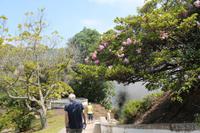 Sao Miguel: Furnas