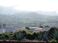 Sao Miguel