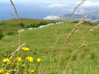 Sao Miguel