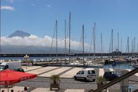 Segelhafen in Horta