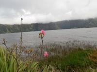 Sete Cidades Lagoa Azul