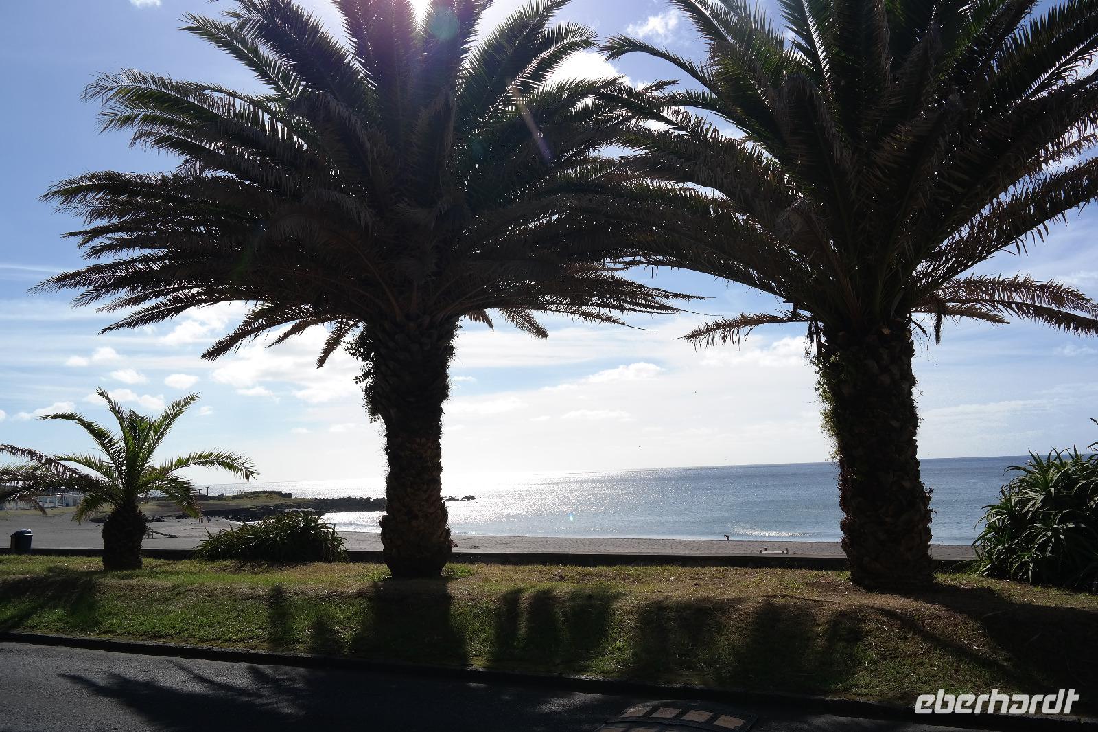 Sonne pur auf Sao Miguel