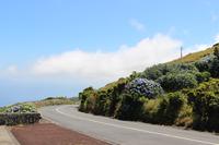 Straße auf Pico