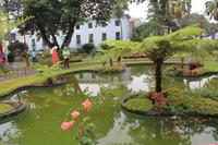 Terceira: Angra do Heroismo - Jardim Publico