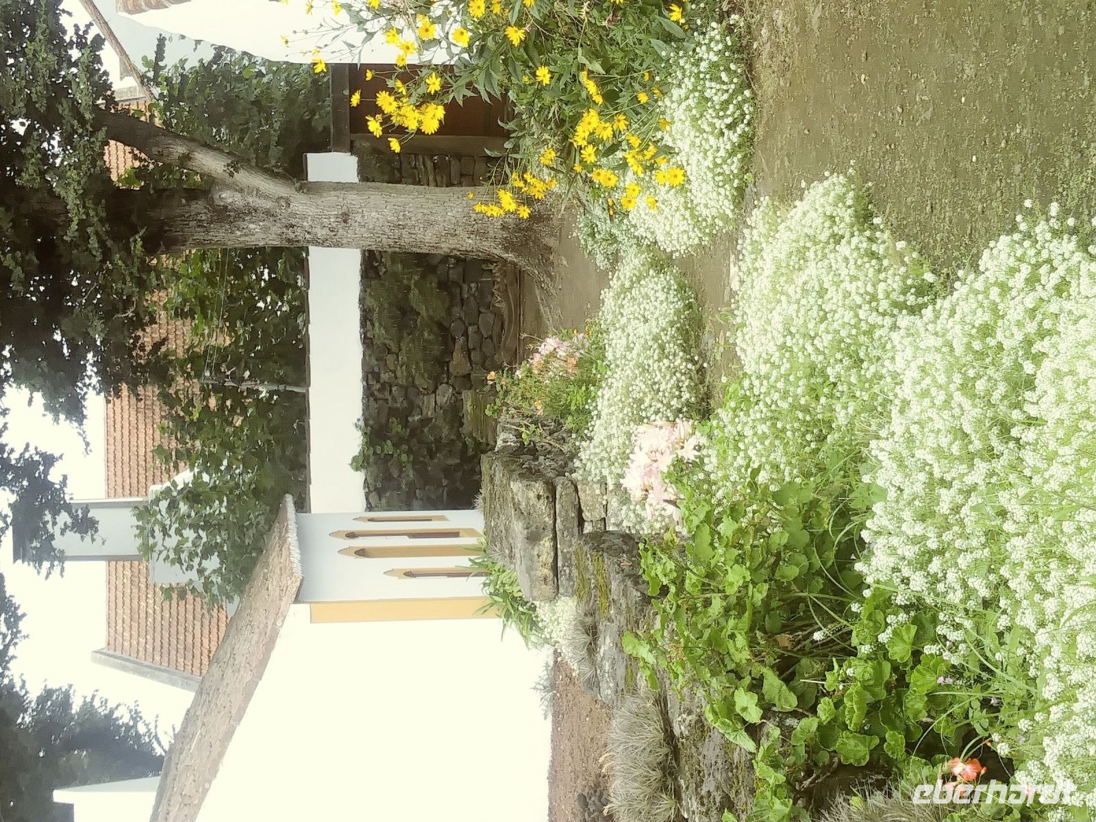Terceira: Weingut