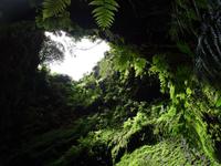 Vulkanhöhle 