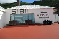 Walmuseum Pico