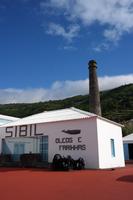 Walmuseum Pico