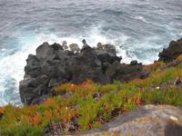 Wanderung auf Faial