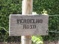 Weinprobe