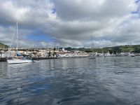 Whale Watching Tour