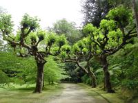 im Park 