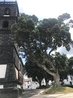 in Ribeira Grande