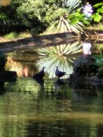 Palheiro Garten Funchal