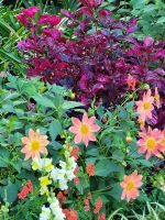 Palheiro Garten Funchal