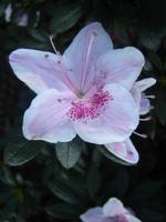 033 Impressionen