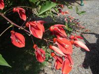 091 Impressionen