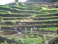 096 Levada-Wanderung