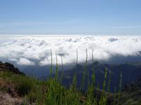 Blick vom Pico do Arieiro