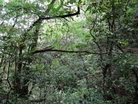 Kleine Levadawanderung zum Aussichtspunkt 