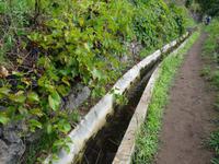 Auf der Levada - Wanderung 