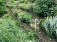 Auf der Levada - Wanderung 