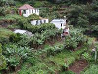 Auf der Levada - Wanderung 