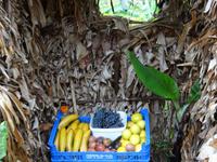 Auf der Levada - Wanderung - Möglichkeit zur Stärkung