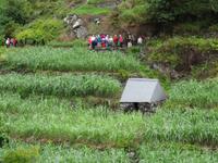 Auf der Levada - Wanderung 