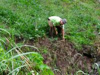 Auf der Levada - Wanderung 