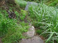 Auf der Levada - Wanderung : 