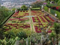 Botanischer Garten von Funchal 