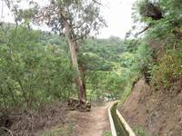 Levada Wanderung
