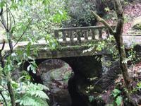 Mini - Levada-Wanderung im Regen