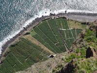 Capo Girao - die höchste Steilküste Europas 